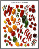 Peppers