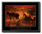 Spirit: Horses