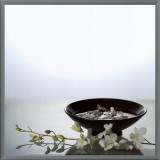 Still Life with Orchids