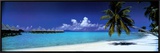 Palm Island Retreat