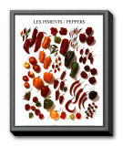Peppers