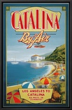 Catalina by Air