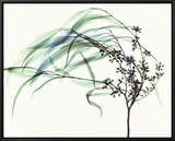 Wind