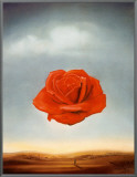 Rose Meditative  c1958
