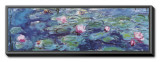 Waterlilies