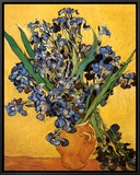 Vase of Irises Against a Yellow Background  c1890