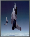 Leadership Planes
