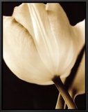 Radiance I