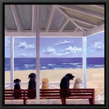 Dogs Eyeview