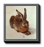 Young Hare