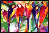 Parrot Family