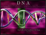 DNA
