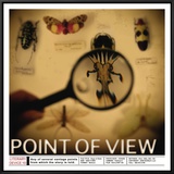 Literary Devices: Point of View