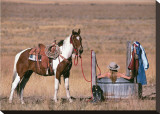 Cowgirl in Heaven