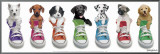 Sneaker Pup Line-Up