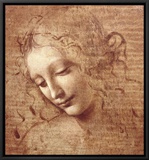 Female Head (La Scapigliata)  c1508