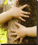 Conservation
