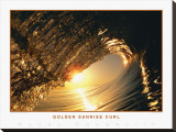Golden Sunrise Curl