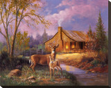 Deer Near Cabin