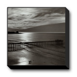 The Scripps Pier  1966