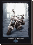 Passport to Freedom