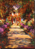 Il Viale del Gardino