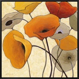 Pumpkin Poppies II