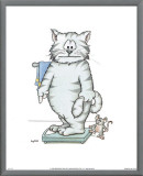 Bathroom Cats VI
