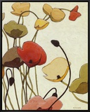 Pavots Ondule