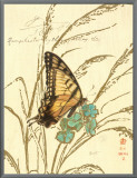 Nature's Curiosities I