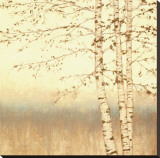 Birch Silhouette II
