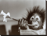 Hair Raising Experience