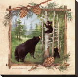 Black Bears II