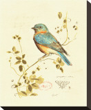 Gilded Songbird IV