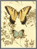 Nature's Curiosities VI