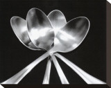 Spoons