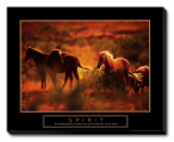 Spirit: Horses