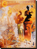 The Hallucinogenic Toreador  c1970