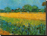View of Arles with Irises