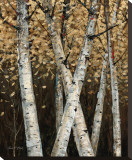 Shimmering Birches I