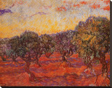 The Olive Grove  c1889