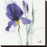Iris I