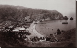 Avalon Harbor  Santa Catalina Island  California 1885