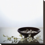 Still Life with Orchids