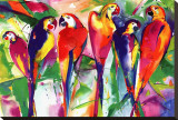 Parrot Family