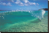 Caribbean Wave