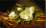 Magnolias on Gold Velvet Cloth