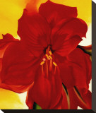 Red Amaryllis  1937