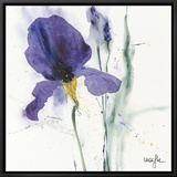 Iris I
