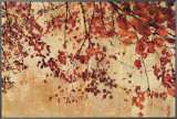 Colorful Season I